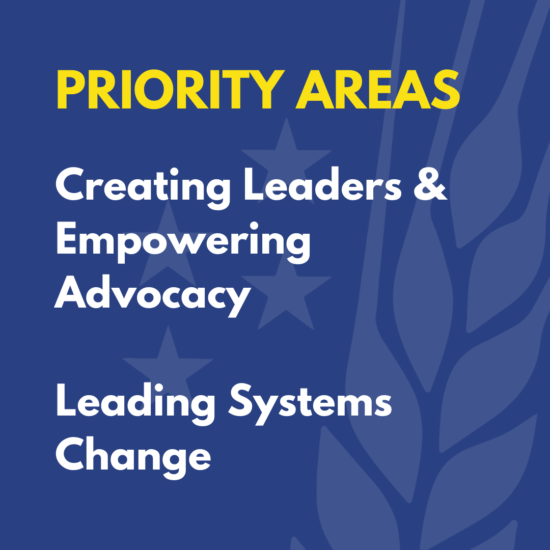 PRIORITY AREAS   Creating Leaders & Empowering Advocacy  Leading Systems Change